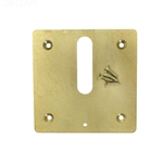MJ6370 | MiniJet Cover Plate with Screws Brass