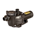 Pool Pumps | Spa Pumps