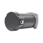 Pool - Spa Pump Motors