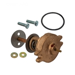 Unithern Governor Raypak