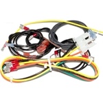 004011F | Wire Harness IID