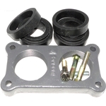 In/Out Flange Raypak