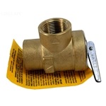 007220F | 45 PSI Pressure Relief Valve
