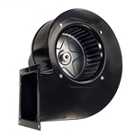 007414F | Combustion Air Blower