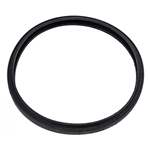 Large Lens Gasket