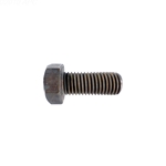 071683 | Screw Bronze