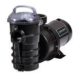 340221 | Dynamo Pump 2 Speed 2 HP