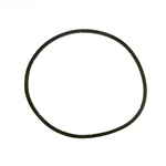 350166 | Gasket