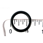 Bulb Oring