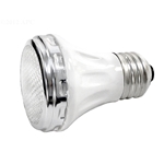 650139Z | Light Bulb