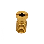 99-20-9100026 | Brass Cover Anchor Screw