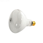APC120500M | Generic Replacement Pool Light Bulb
