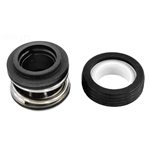 Pump Seal Apcas200 Only