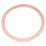 APCG3259 | Generic Replacement Gasket