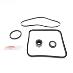 Hayward Super Pump O-Ring Repair Kit