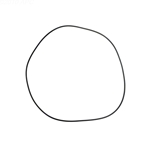 APCO2007 | Generic Replacement O-Ring