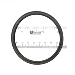APCO2010 | Generic Replacement O-Ring