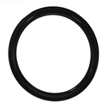 APCO2012 | Generic Replacement O-Ring