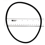 APCO2019 | Generic Replacement O-Ring