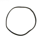 APCO2029 | Generic Replacement O-Ring