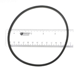 APCO2101 | Generic Replacement O-Ring
