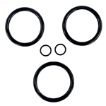APCO2105 | Generic Replacement O-Ring