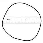 APCO2106 | Generic Replacement O-Ring