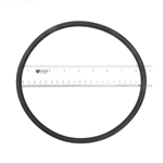 APCO2169 | Generic Replacement O-Ring