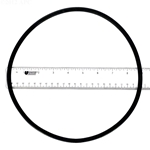 APCO2304 | Generic Replacement O-Ring