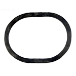 APCO2319 | Generic Replacement O-Ring