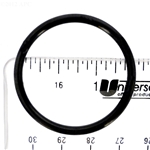 APCO2344 | Generic Replacement O-Ring