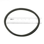 APCO2348 | Generic Replacement O-Ring