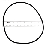 APCO2377 | Generic Replacement O-Ring