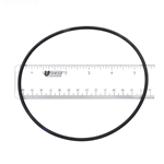 APCO2389 | Generic Replacement O-Ring