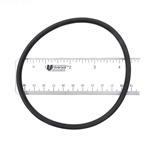 APCO2399 | Generic Replacement O-Ring