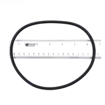 APCO2425 | Generic Replacement O-Ring