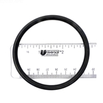 APCO2431 | Generic Replacement O-Ring