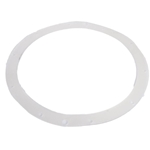 25549-000-011 | Vinyl Pool Light Sealing Ring