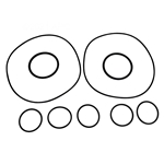Caretaker O-Ring Kit
