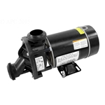 Jacuzzi J Series Pump 240