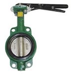 2In Cast Iron Butterfly Valve