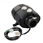 Air Blower 1 Hp 240V 48In Cord