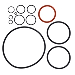 O-Ring Kit All Pieces