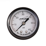 IPG602-4B | Pressure Gauge