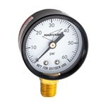 IPG602-4L | Pressure Gauge