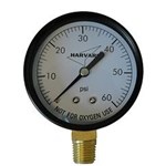 IPG6045-4L | Pressure Gauge