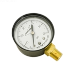 IPPG602-4L | Pressure Gauge