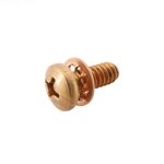 909009 | Little Giant Screw and Washer
