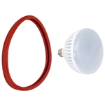 LED Pool Light Replacement Bulb Color RGBW 120v