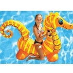Poolmaster Sea Horse